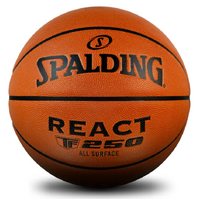 React T250 Indoor/Outdoor