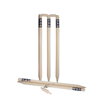 Cricket Stump Set