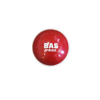 Pride PVC Cricket Ball