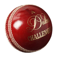 Challenger Cricket Ball