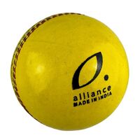 Indoor Cricket Ball