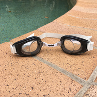 Dolphin Goggles Clear Lens