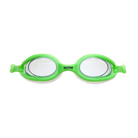 Flex SS Goggles