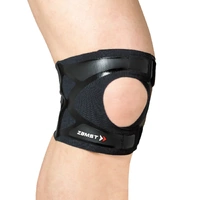 Filmista Knee