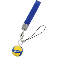ST200WM Volleyball Key Charm