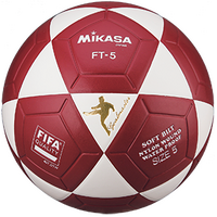 FT5-WR FIFA Footvolley Ball