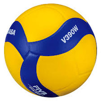 Mikasa V390W Training Performance Volleyball