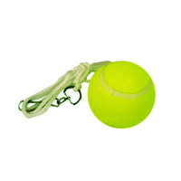 Reflex Tennis - Spare Ball