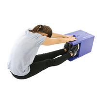 Baseline Sit & Reach Box
