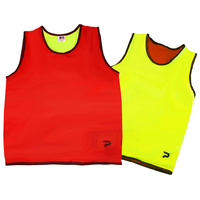 Reversible Training Bib