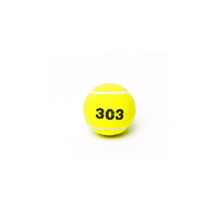 Training 303 Tennis Ball - Loose Dozen